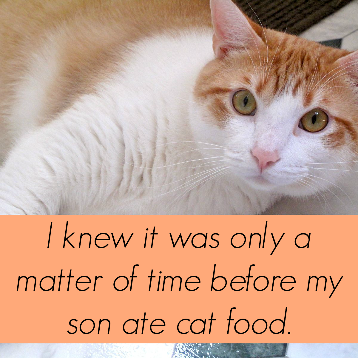 Feel Good Friday: Yep, My Son Ate Cat Food