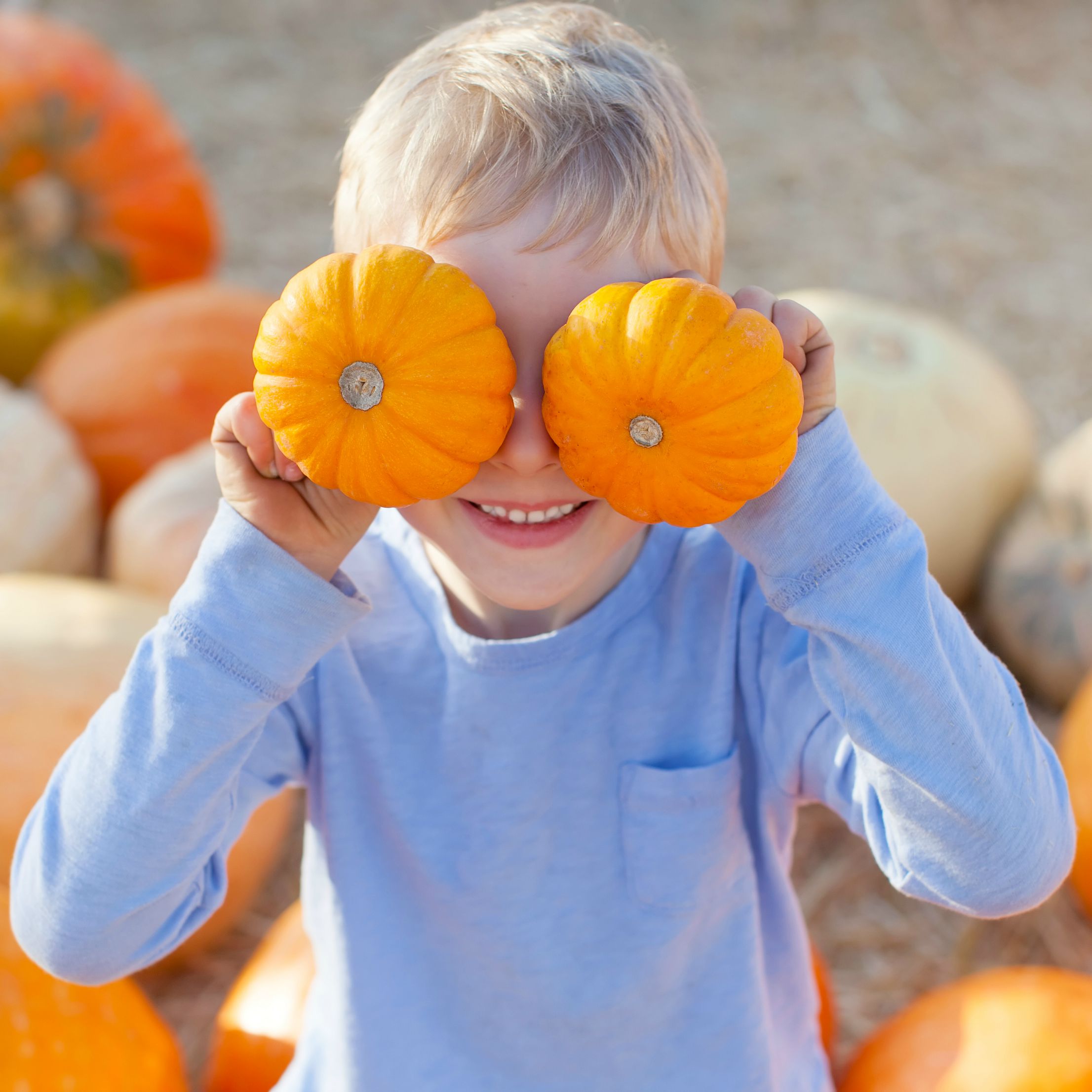 Fun Alternatives to Trick-or-Treating Your Kids Will Love