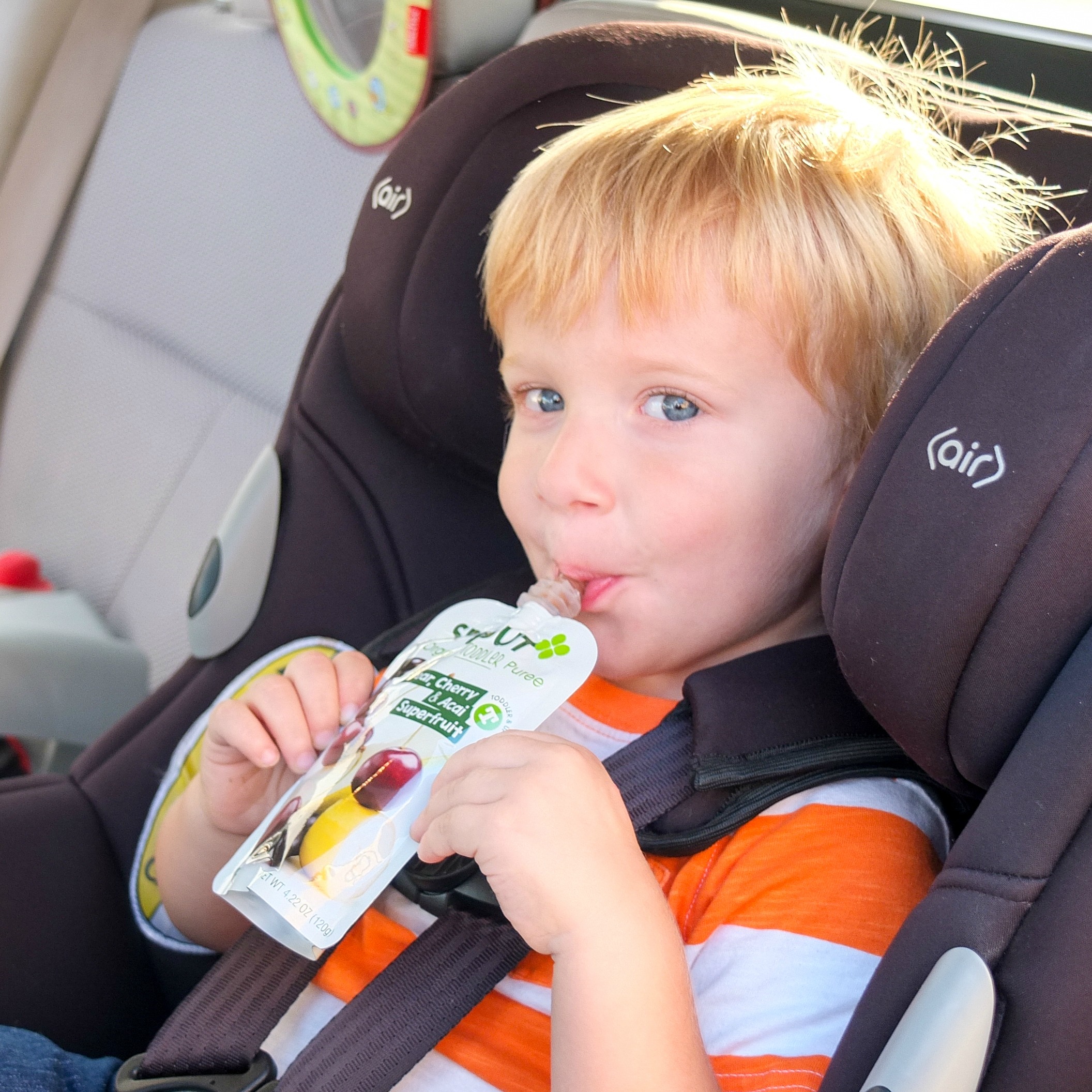6 Handy Healthy Eating Tips for Families On the Go