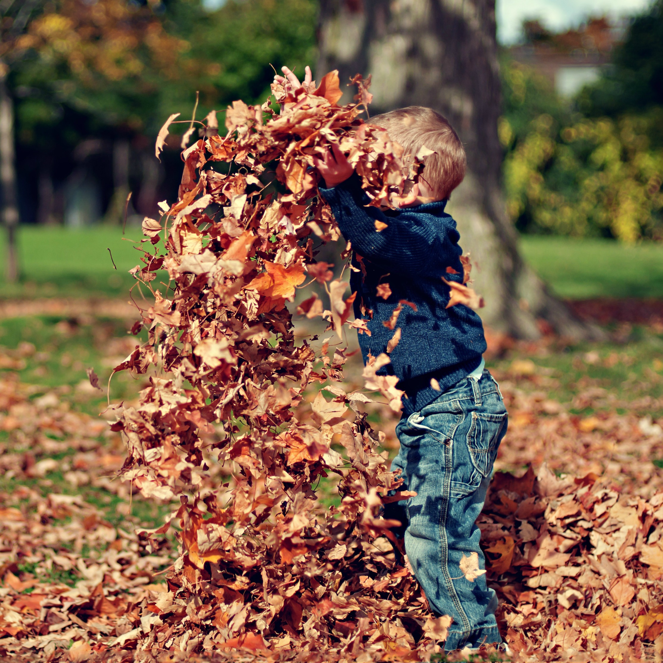 30 Ways to Make This Autumn Unforgettable [Free Printable]